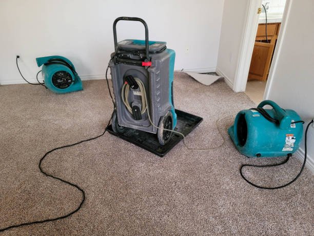Best Ceiling water damage repair  in Silverton, OH