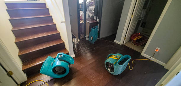 Best Mold removal after water damage  in Silverton, OH