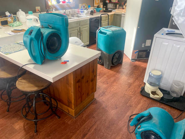 Best Water damage cleanup near me  in Silverton, OH