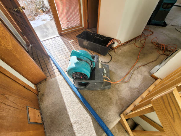 Best 24-hour water damage restoration  in Silverton, OH