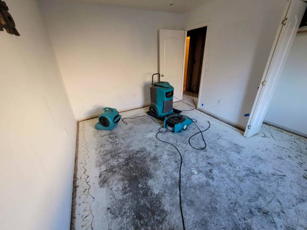 Best Flooded house restoration  in Silverton, OH