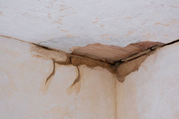 Sewage cleanup and water damage restoration in Silverton, OH