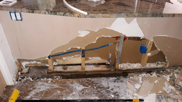 Best Water damage cleanup near me  in Silverton, OH