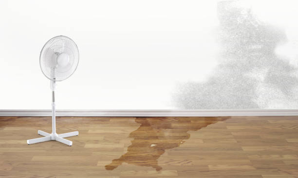 Best Flood restoration services  in Silverton, OH
