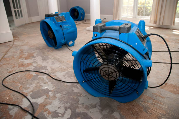 Best Water damage contractors near me  in Silverton, OH