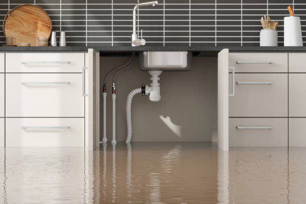  Silverton, OH Water damage restoration Pros