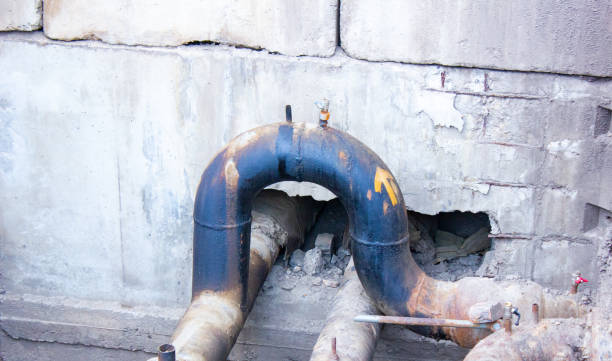 Best Sewage cleanup and water damage restoration  in Silverton, OH