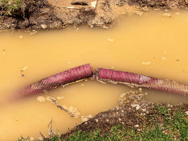 Reliable Silverton, OH Water damage restoration Solutions