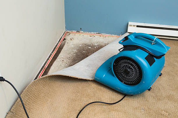Best 24/7 water damage repair  in Silverton, OH